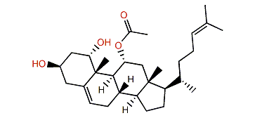 Cholesta-5,24-dien-1a,3b,11a-triol 11-acetate